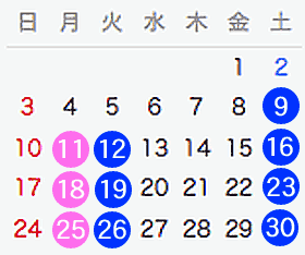 6月の予定